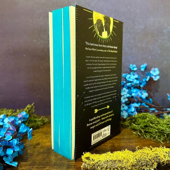 Fairyloot YA Box An Arrow to the Moon by Emily X.R. Pan - Picture 4 of 5